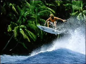 Palmy, Surfing, Fala