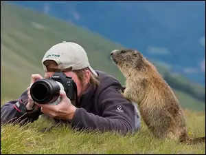 Fotograf, Świstak
