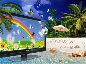 Plaża, Philips, Palmy, Monitor