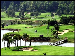 Gra, Pole, Golfowe