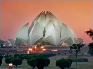 Drzewka, Lotos, Delhi