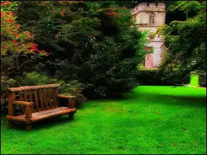 Ławeczka, Park, Drzewa