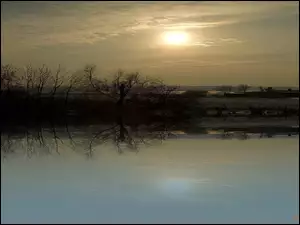 Jeziorze, Słońce, Odbicie, Drzewa, W