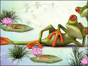 Grafika, Żabki, Relaks