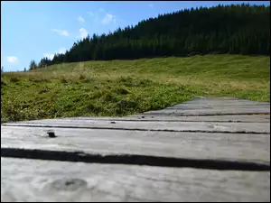 Zakopane, Las, Łąka, Deski