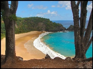 Brazylia, Plaża, Las, Morze, Fernando Noronha