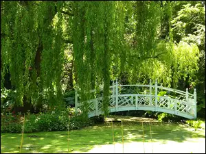 Park, Anglia, Staw, Mostek