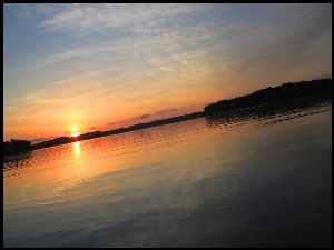 Jezioro, Las