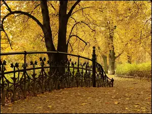 Park, Aleja, Jesienią, Mostek