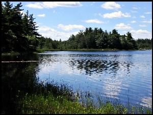 Kejimkujik, Nowa, Park, Szkocja, Narodowy