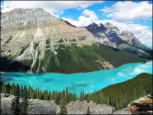 Peyto, Narodowy, Banff, Park, Jezioro