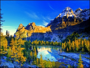 Rzeka, Kanada, Góry, Park Narodowy Yoho, Lasy