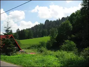 Czechy, Łąka, Las, Domek, Adrspach