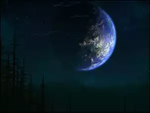 Las, Planeta, Niebo, Gwiazdy