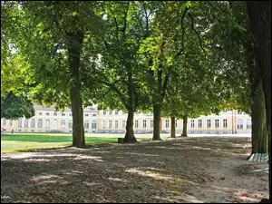 Rogalin, Aleja, Park, Kasztanowce, Pałac