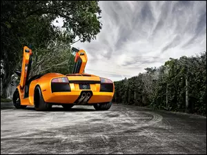 Lamborghini, Droga, Drzewa