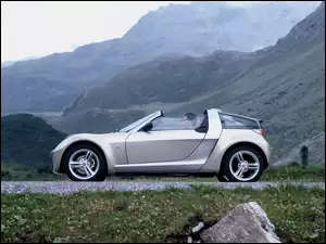 Smart Roadster, Srebrny