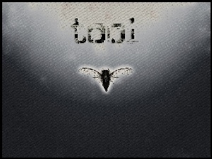 Tool, mucha