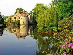 Kwiatki, Kent, Zamek, Anglia, Jeziorko, Drzewa