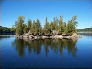 Kalifornia, Wysepka, Jezioro, Drzewa, Loon