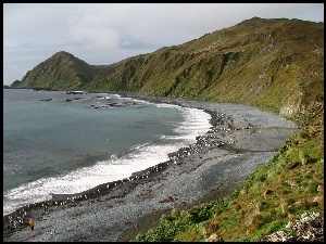 Woda, Wybrzeże, Macquarie, Wyspy, Australia