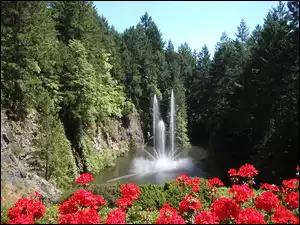 Fontanna, Zalesiona, Czerwone, Góra, Kwiaty