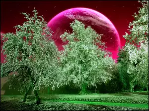 Planeta, Zielone, Drzewa