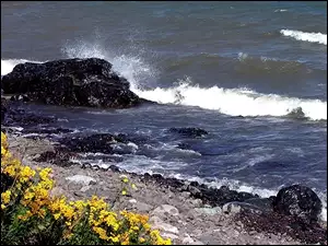 Morze, Plaża, Kamienie