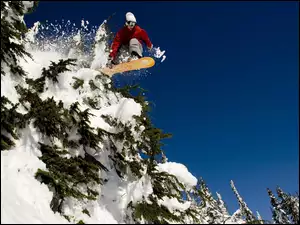 Choinki, Snowboardzista, Śnieg