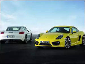 Porsche Cayman S