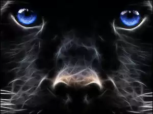Fractalius, Czarna, Pantera