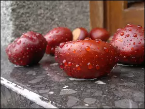 Deszczu, Kasztany, Po