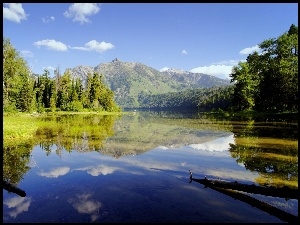 Drzewa, Górskie, Jezioro
