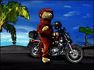 Małpa, na motocyklu