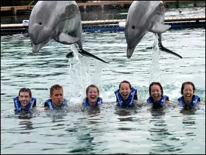 Śmiech, Delfiny, Opiekunowie