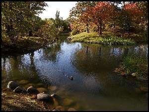 Jezioro, Japonia, Park, Nakajima