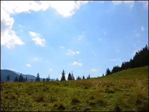 Niebo, Łąka, Zakopane