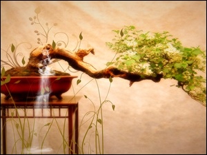 Bonsai, Stolik, Drzewko
