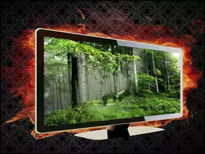Ogień, Monitor, Las