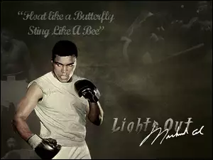 Muhammad Ali, Boks