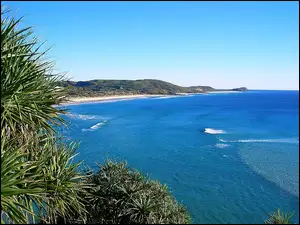 Australia, Wyspa, Frazer Island