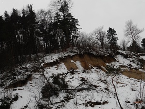 Drzewa, Skarpa, Połamane