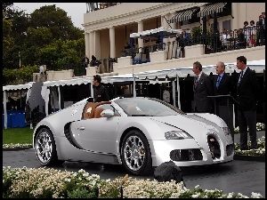 Srebrny, Wystawa, Veyron, Cabriolet