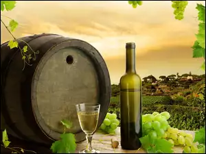 Beczka, Winogron, Wino