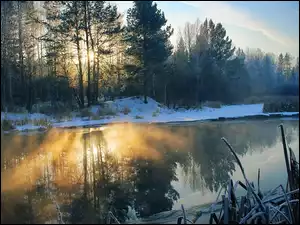 Zima, Rzeka, Przebijające, Las, Światło