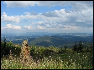 Łąka, Niebo, Lasy, Góry