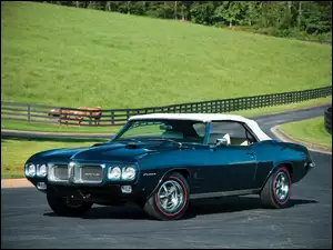 Pontiac Firebird, Cabriolet