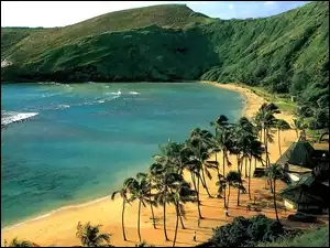 Palmy, Oahu, Morze, Hawaje, Plaża, Góry