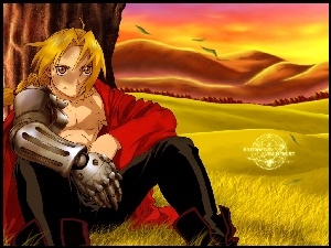 postać, ręka, ptaki, polana, Full Metal Alchemist, drzewo