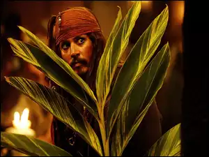 liście, piraci_z_karaibow_2, Johnny Depp